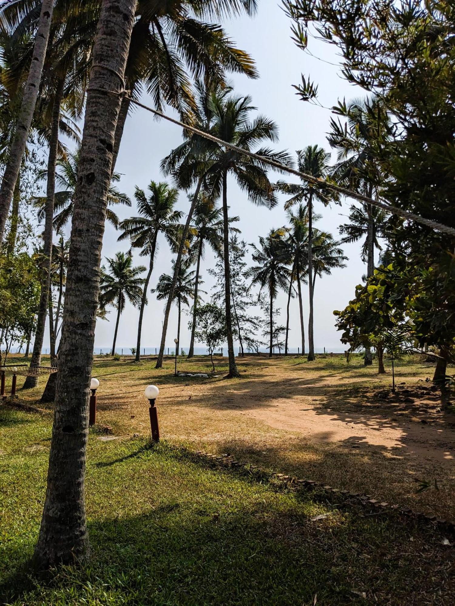 Baycliff Cottages Varkala Kültér fotó