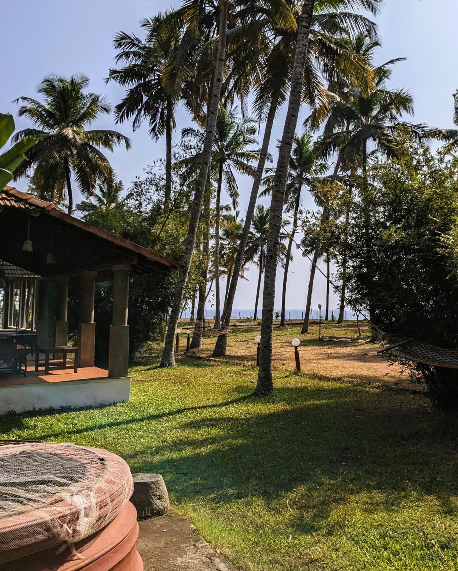 Baycliff Cottages Varkala Kültér fotó